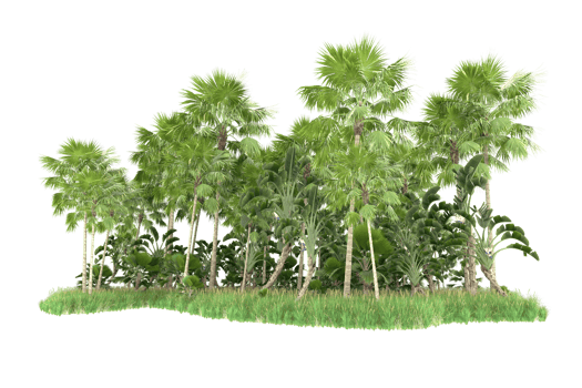 Realistic forest isolated on transparent background. 3d rendering - illustration png