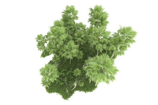 Realistic forest isolated on transparent background. 3d rendering - illustration png