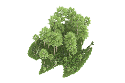 Realistic forest isolated on transparent background. 3d rendering - illustration png