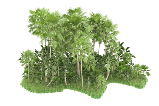 Realistic forest isolated on transparent background. 3d rendering - illustration png