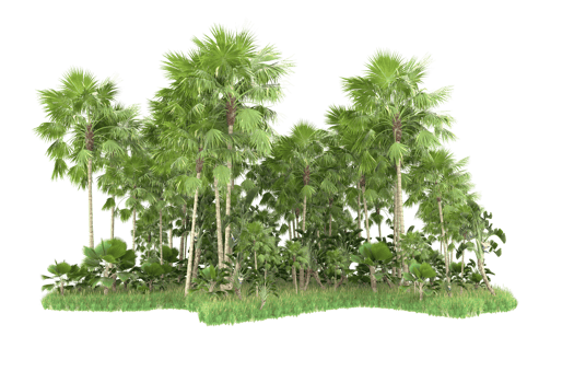 Realistic forest isolated on transparent background. 3d rendering - illustration png