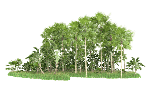 Realistic forest isolated on transparent background. 3d rendering - illustration png