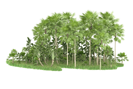 Realistic forest isolated on transparent background. 3d rendering - illustration png