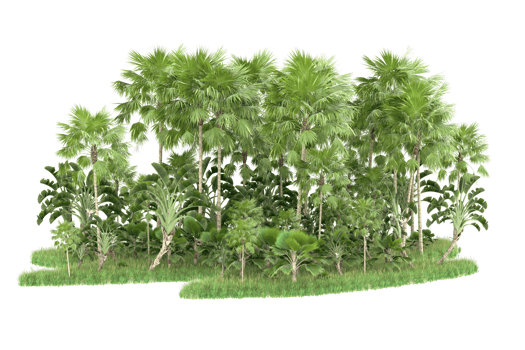 Realistic forest isolated on transparent background. 3d rendering - illustration png