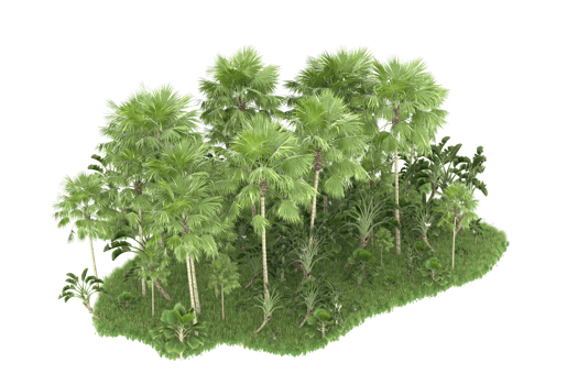 Realistic forest isolated on transparent background. 3d rendering - illustration png