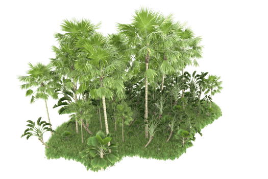 Realistic forest isolated on transparent background. 3d rendering - illustration png