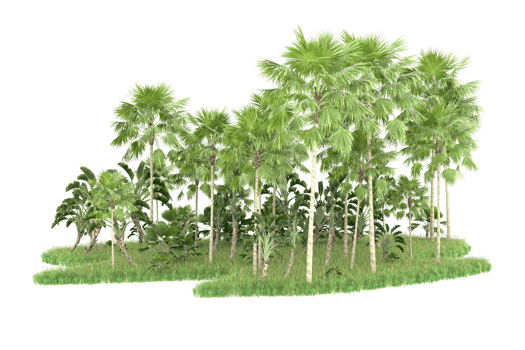Realistic forest isolated on transparent background. 3d rendering - illustration png