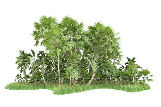 Realistic forest isolated on transparent background. 3d rendering - illustration png