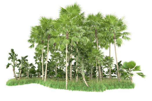 Realistic forest isolated on transparent background. 3d rendering - illustration png