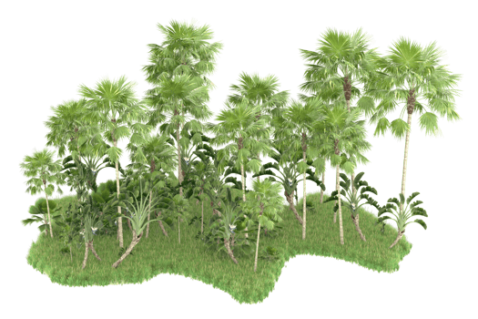 Realistic forest isolated on transparent background. 3d rendering - illustration png