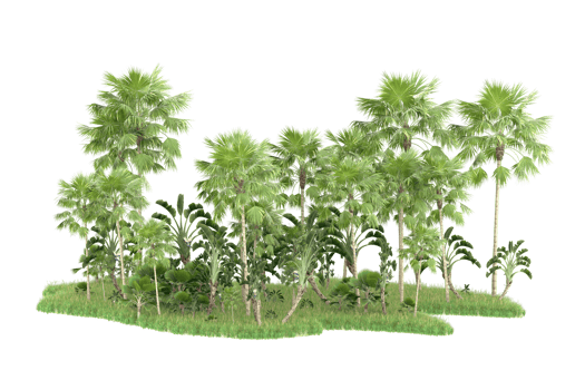 Realistic forest isolated on transparent background. 3d rendering - illustration png