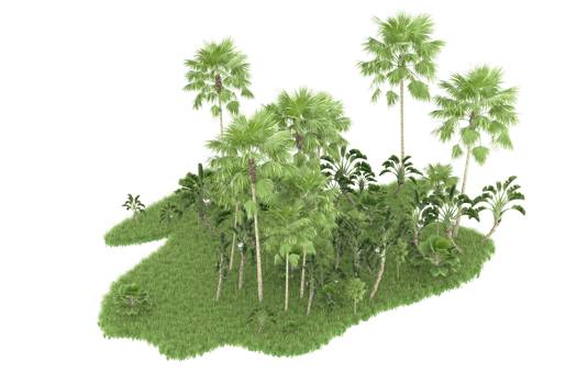Realistic forest isolated on transparent background. 3d rendering - illustration png