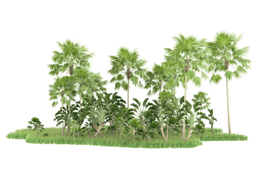 Realistic forest isolated on transparent background. 3d rendering - illustration png