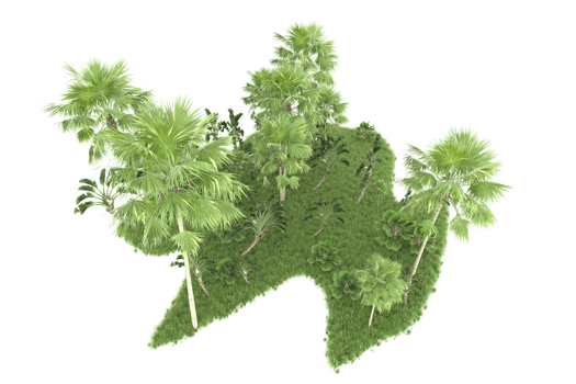 Realistic forest isolated on transparent background. 3d rendering - illustration png