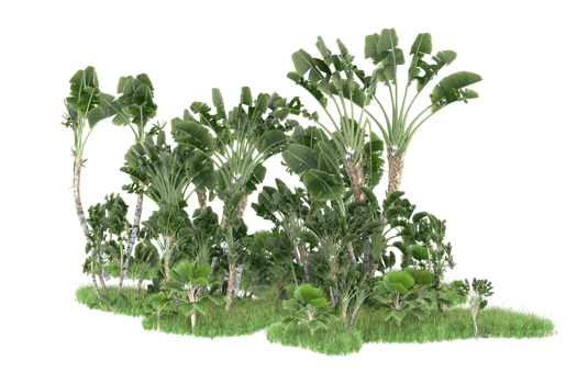 Realistic forest isolated on transparent background. 3d rendering - illustration png