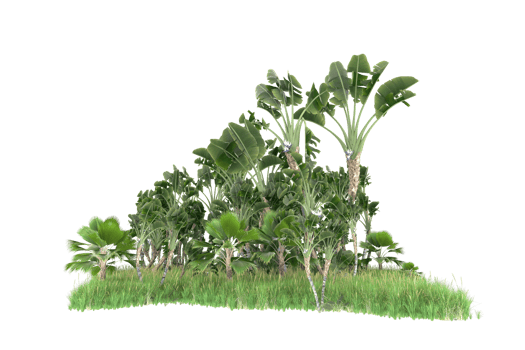 Realistic forest isolated on transparent background. 3d rendering - illustration png