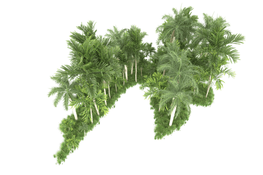 Realistic forest isolated on transparent background. 3d rendering - illustration png