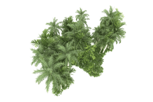 Realistic forest isolated on transparent background. 3d rendering - illustration png