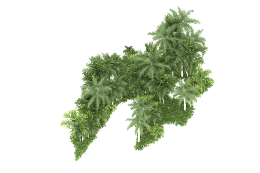 Realistic forest isolated on transparent background. 3d rendering - illustration png