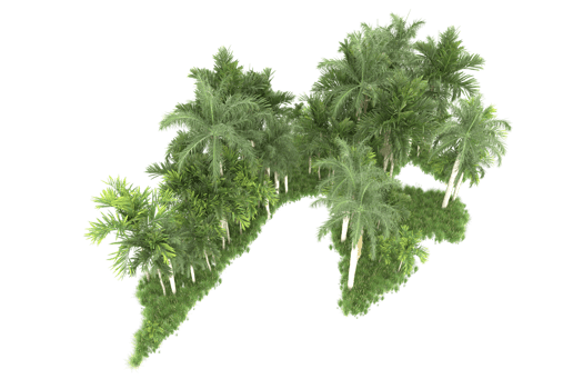 Realistic forest isolated on transparent background. 3d rendering - illustration png