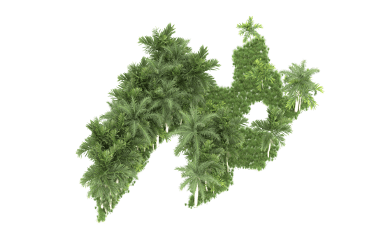 Realistic forest isolated on transparent background. 3d rendering - illustration png