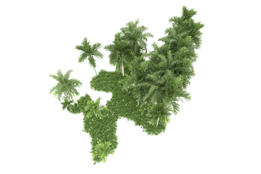 Realistic forest isolated on transparent background. 3d rendering - illustration png