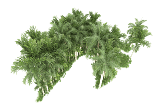 Realistic forest isolated on transparent background. 3d rendering - illustration png