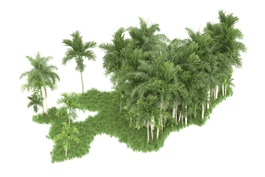 Realistic forest isolated on transparent background. 3d rendering - illustration png