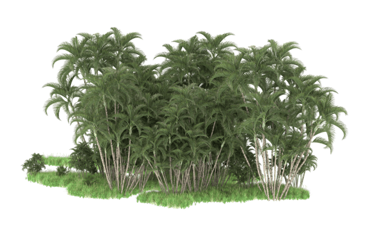 Realistic forest isolated on transparent background. 3d rendering - illustration png
