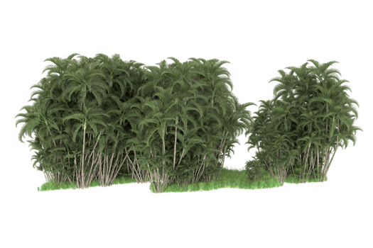 Realistic forest isolated on transparent background. 3d rendering - illustration png