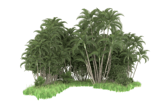 Realistic forest isolated on transparent background. 3d rendering - illustration png