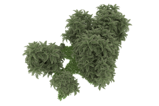 Realistic forest isolated on transparent background. 3d rendering - illustration png