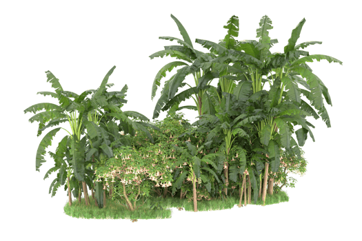 Realistic forest isolated on transparent background. 3d rendering - illustration png