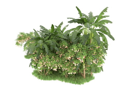 Realistic forest isolated on transparent background. 3d rendering - illustration png