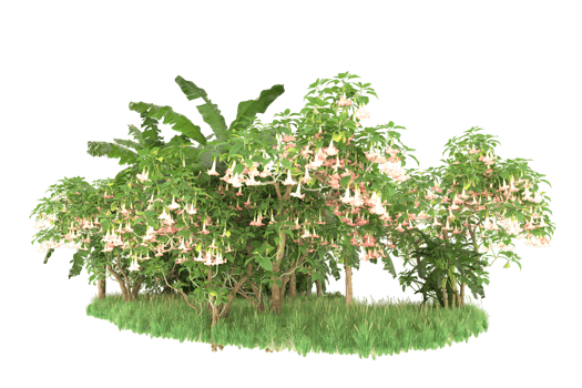 Realistic forest isolated on transparent background. 3d rendering - illustration png