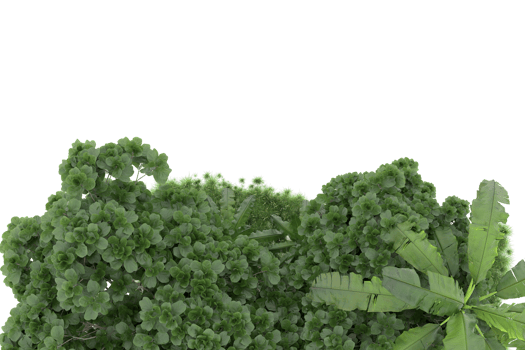 Realistic forest isolated on transparent background. 3d rendering - illustration png