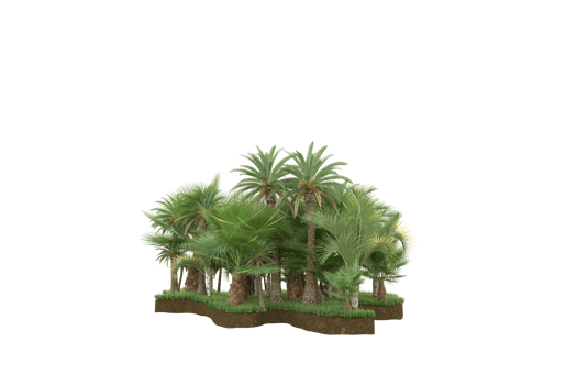 Realistic forest isolated on transparent background. 3d rendering - illustration png