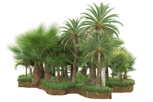 Realistic forest isolated on transparent background. 3d rendering - illustration png