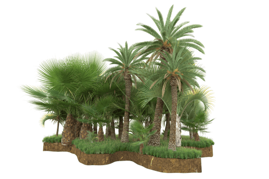 Realistic forest isolated on transparent background. 3d rendering - illustration png
