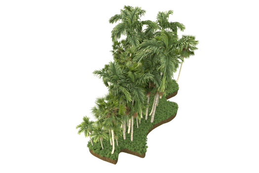 Realistic forest isolated on transparent background. 3d rendering - illustration png