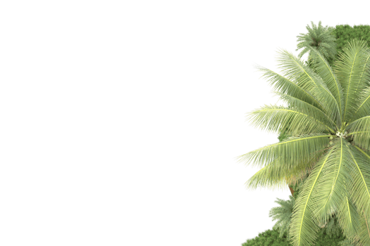 Realistic forest isolated on transparent background. 3d rendering - illustration png
