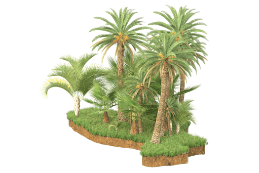 Realistic forest isolated on transparent background. 3d rendering - illustration png