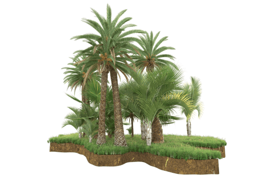 Realistic forest isolated on transparent background. 3d rendering - illustration png