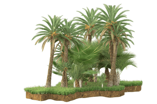 Realistic forest isolated on transparent background. 3d rendering - illustration png