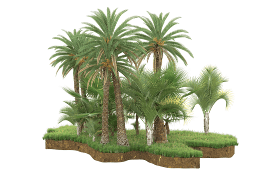 Realistic forest isolated on transparent background. 3d rendering - illustration png