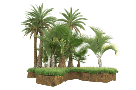 Realistic forest isolated on transparent background. 3d rendering - illustration png