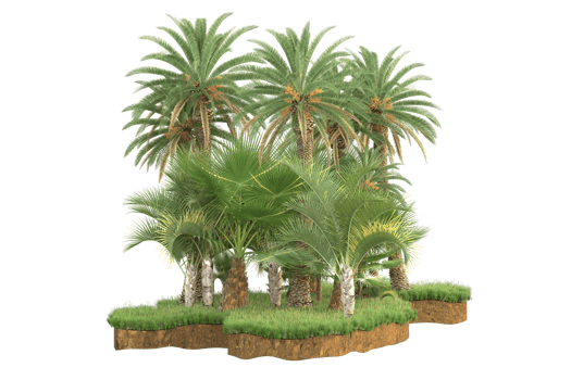 Realistic forest isolated on transparent background. 3d rendering - illustration png
