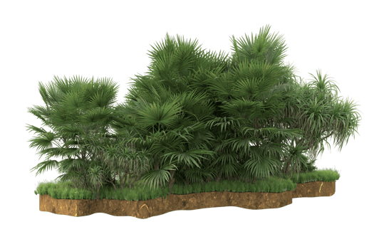 Realistic forest isolated on transparent background. 3d rendering - illustration png