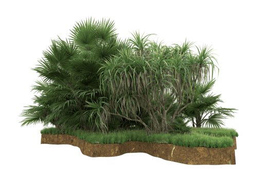 Realistic forest isolated on transparent background. 3d rendering - illustration png