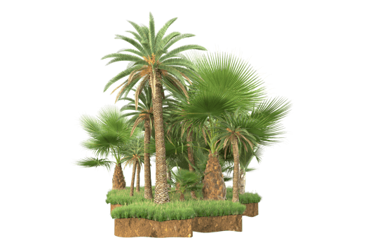 Realistic forest isolated on transparent background. 3d rendering - illustration png
